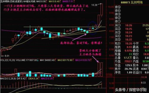 资深股民的智慧，单只股票翻三倍获利的秘诀