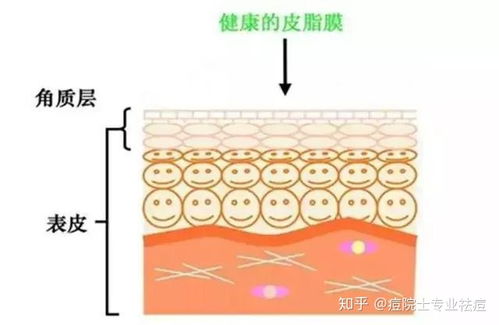 养生之道，清洁皮肤的重要性与实用知识